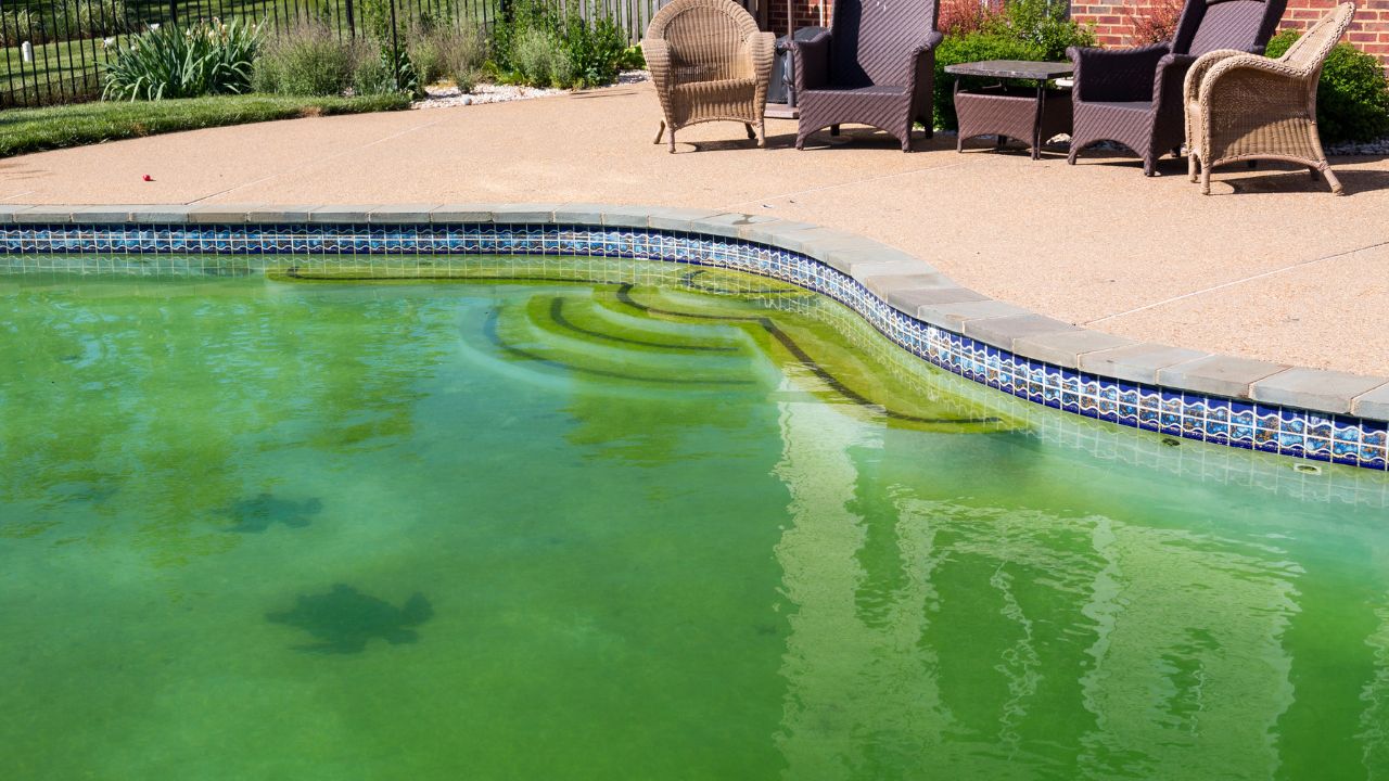 Desvantagens de ter uma piscina em casa. Imagem: Canva.