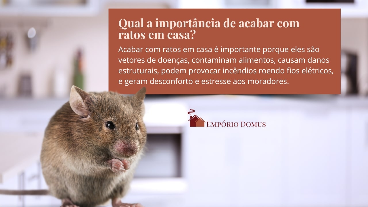 importância de acabar com ratos em casa