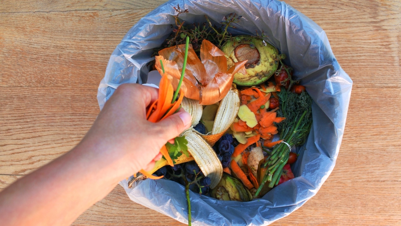 5 Dicas para Evitar Desperdício de Alimentos no Dia a Dia